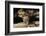 Golden-Mantled Ground Squirrel (Spermophilus Lateralis) on a Log-George D Lepp-Framed Photographic Print