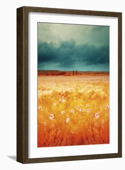 Golden Meadow-David Keochkerian-Framed Giclee Print