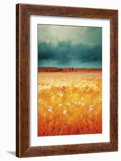 Golden Meadow-David Keochkerian-Framed Giclee Print