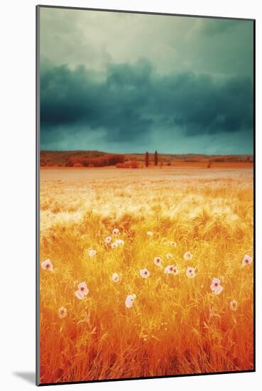 Golden Meadow-David Keochkerian-Mounted Giclee Print