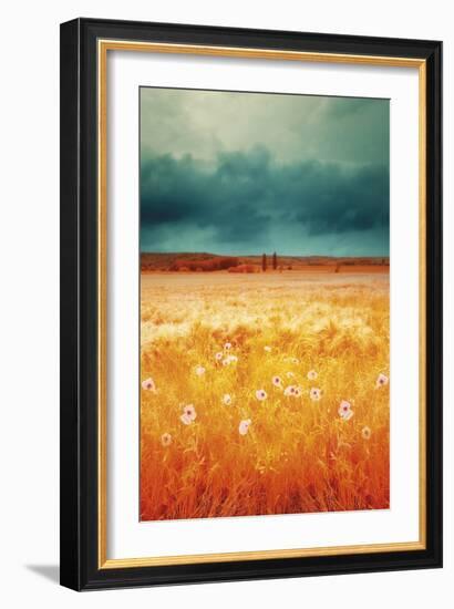 Golden Meadow-David Keochkerian-Framed Giclee Print