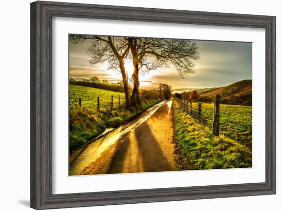 Golden Memories-Mark Gemmell-Framed Photographic Print