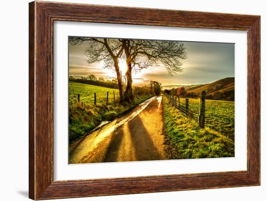 Golden Memories-Mark Gemmell-Framed Photographic Print