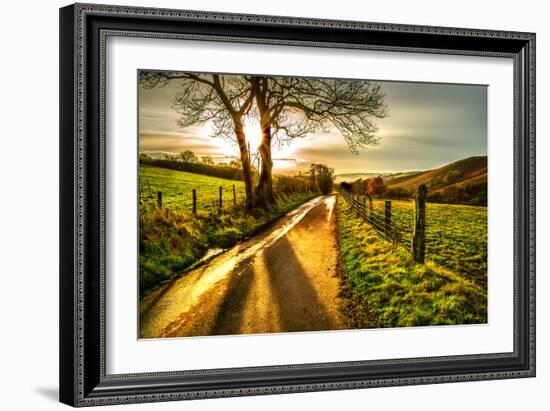 Golden Memories-Mark Gemmell-Framed Photographic Print