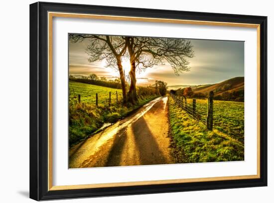 Golden Memories-Mark Gemmell-Framed Photographic Print