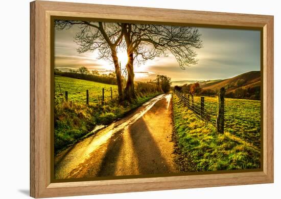 Golden Memories-Mark Gemmell-Framed Premier Image Canvas