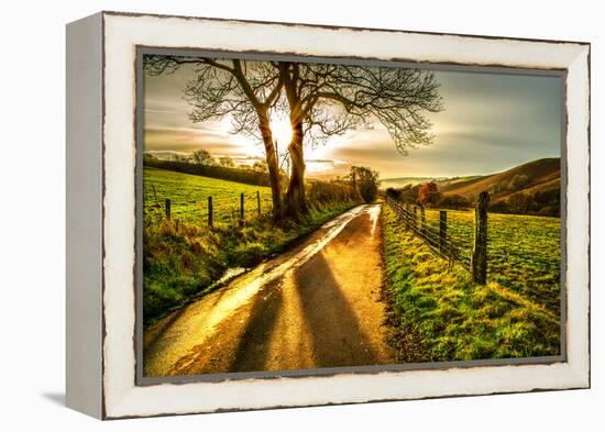 Golden Memories-Mark Gemmell-Framed Premier Image Canvas