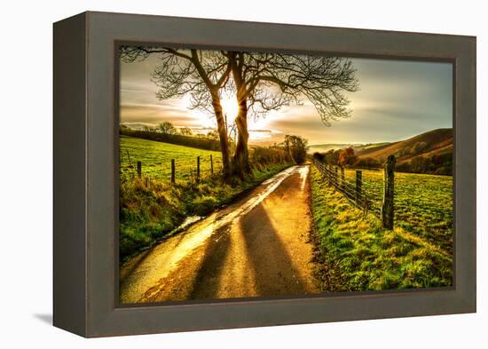 Golden Memories-Mark Gemmell-Framed Premier Image Canvas