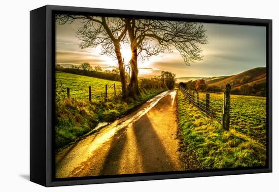 Golden Memories-Mark Gemmell-Framed Premier Image Canvas