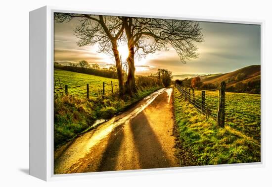 Golden Memories-Mark Gemmell-Framed Premier Image Canvas