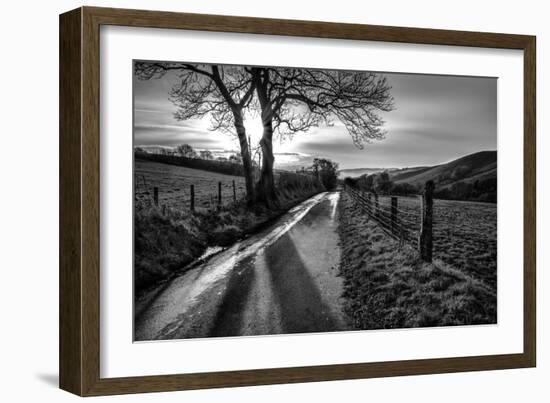 Golden Memories-Mark Gemmell-Framed Photographic Print