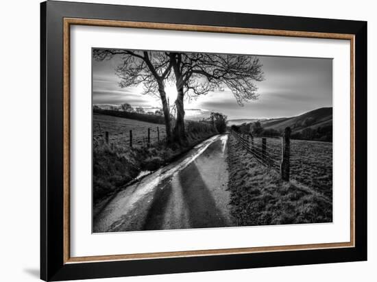 Golden Memories-Mark Gemmell-Framed Photographic Print