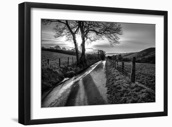 Golden Memories-Mark Gemmell-Framed Photographic Print