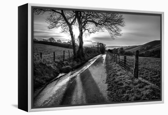 Golden Memories-Mark Gemmell-Framed Premier Image Canvas