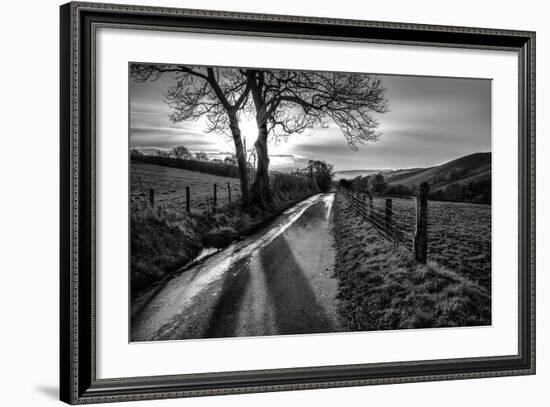 Golden Memories-Mark Gemmell-Framed Photographic Print