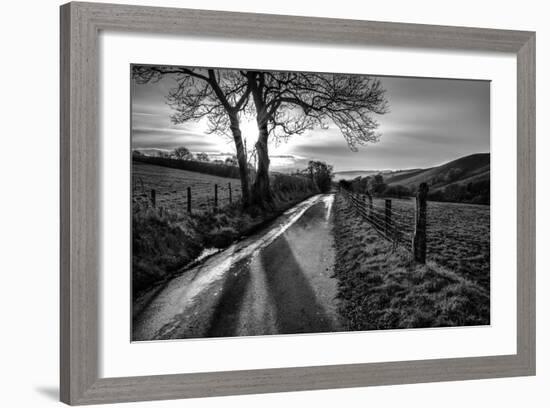 Golden Memories-Mark Gemmell-Framed Photographic Print