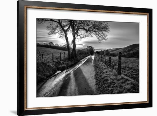 Golden Memories-Mark Gemmell-Framed Photographic Print