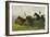 Golden Miller and Delaneige at the Last Fence at the Grand National, 1934-Charles Simpson-Framed Giclee Print