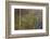 Golden Mist-Doug Chinnery-Framed Photographic Print