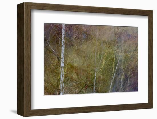 Golden Mist-Doug Chinnery-Framed Photographic Print