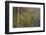 Golden Mist-Doug Chinnery-Framed Photographic Print