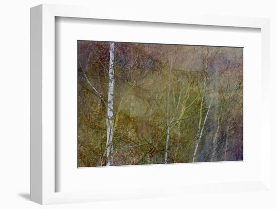 Golden Mist-Doug Chinnery-Framed Photographic Print