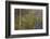 Golden Mist-Doug Chinnery-Framed Photographic Print