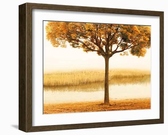 Golden Morning I-John Seba-Framed Art Print