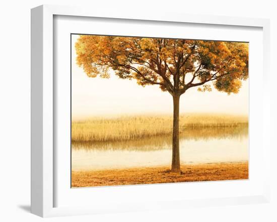 Golden Morning I-John Seba-Framed Art Print