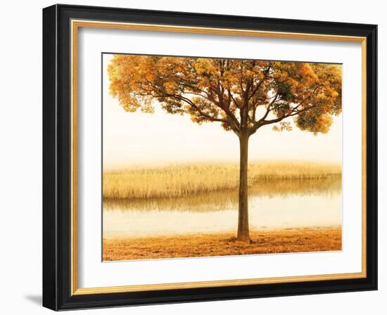 Golden Morning I-John Seba-Framed Art Print