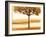 Golden Morning I-John Seba-Framed Art Print