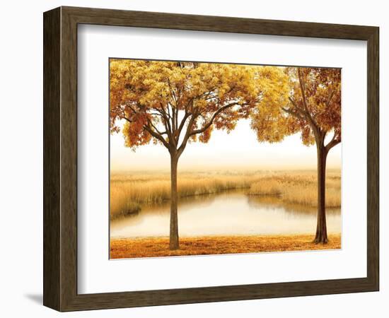 Golden Morning II-John Seba-Framed Premium Giclee Print