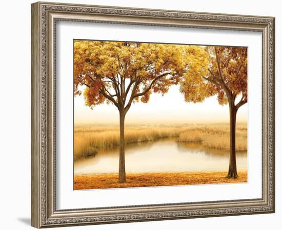 Golden Morning II-John Seba-Framed Art Print