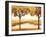 Golden Morning II-John Seba-Framed Art Print