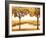 Golden Morning II-John Seba-Framed Art Print