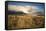 Golden Morning Light On The Yellowstone River In The Hayden Valley, Yellowstone National Park-Bryan Jolley-Framed Stretched Canvas