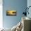 Golden Morning-David Keochkerian-Mounted Giclee Print displayed on a wall