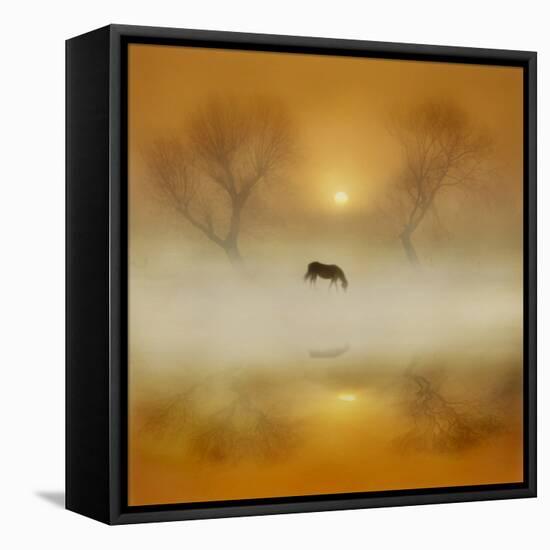 Golden Morning-Adrian Campfield-Framed Premier Image Canvas