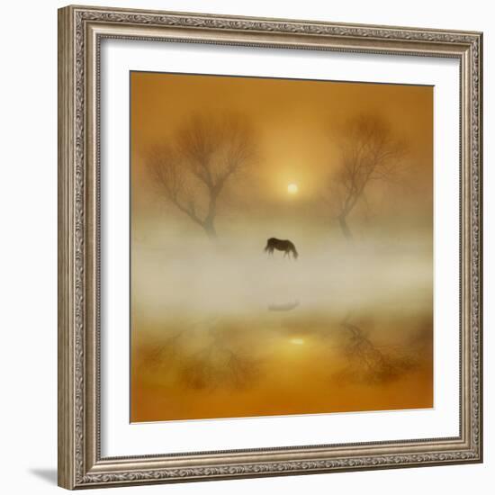 Golden Morning-Adrian Campfield-Framed Photographic Print