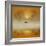 Golden Morning-Adrian Campfield-Framed Photographic Print