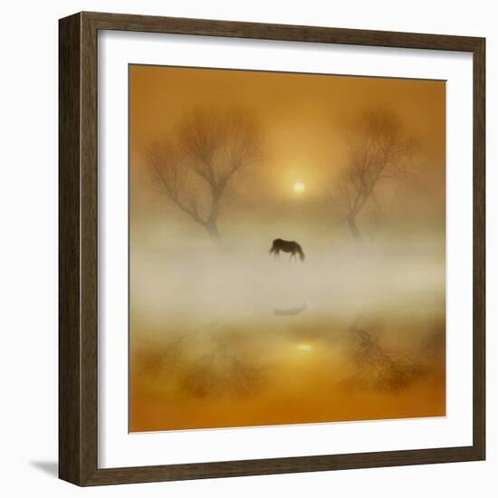 Golden Morning-Adrian Campfield-Framed Photographic Print