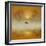 Golden Morning-Adrian Campfield-Framed Photographic Print