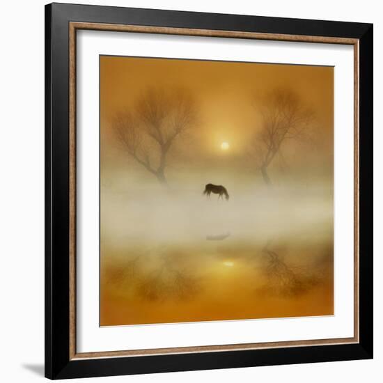 Golden Morning-Adrian Campfield-Framed Photographic Print