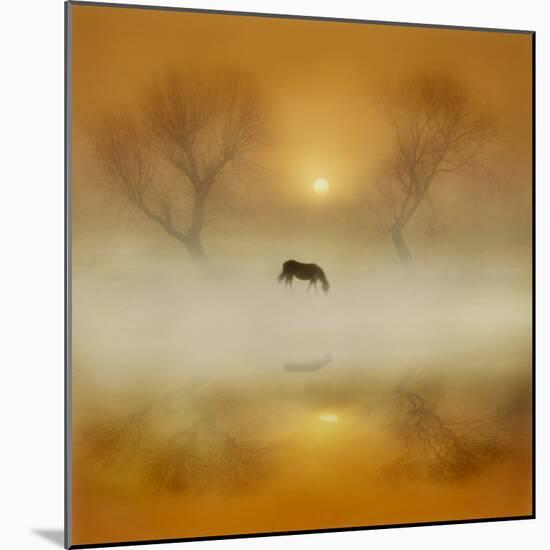 Golden Morning-Adrian Campfield-Mounted Photographic Print
