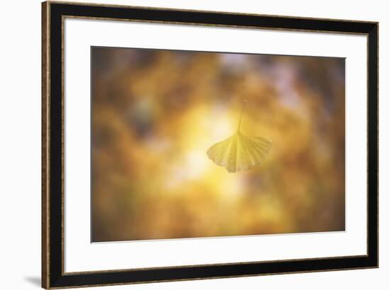 Golden Morning-Philippe Sainte-Laudy-Framed Photographic Print