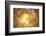 Golden Morning-Philippe Sainte-Laudy-Framed Photographic Print