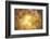 Golden Morning-Philippe Sainte-Laudy-Framed Photographic Print