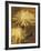 Golden Mums II-Keith Mallett-Framed Giclee Print