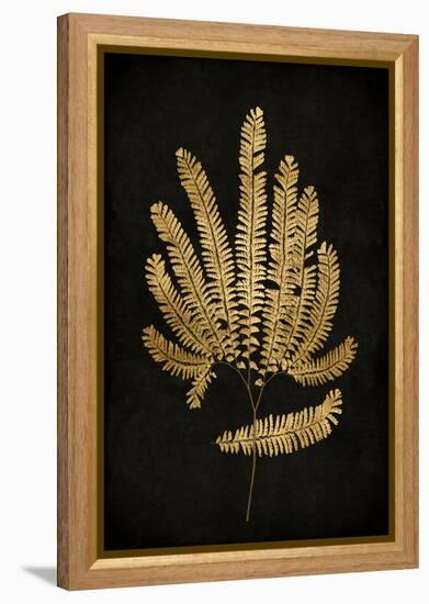 Golden Nature II-Kate Bennett-Framed Stretched Canvas