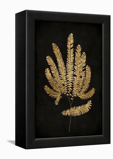 Golden Nature II-Kate Bennett-Framed Stretched Canvas